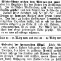 1906-03-01 Hdf Fruehling